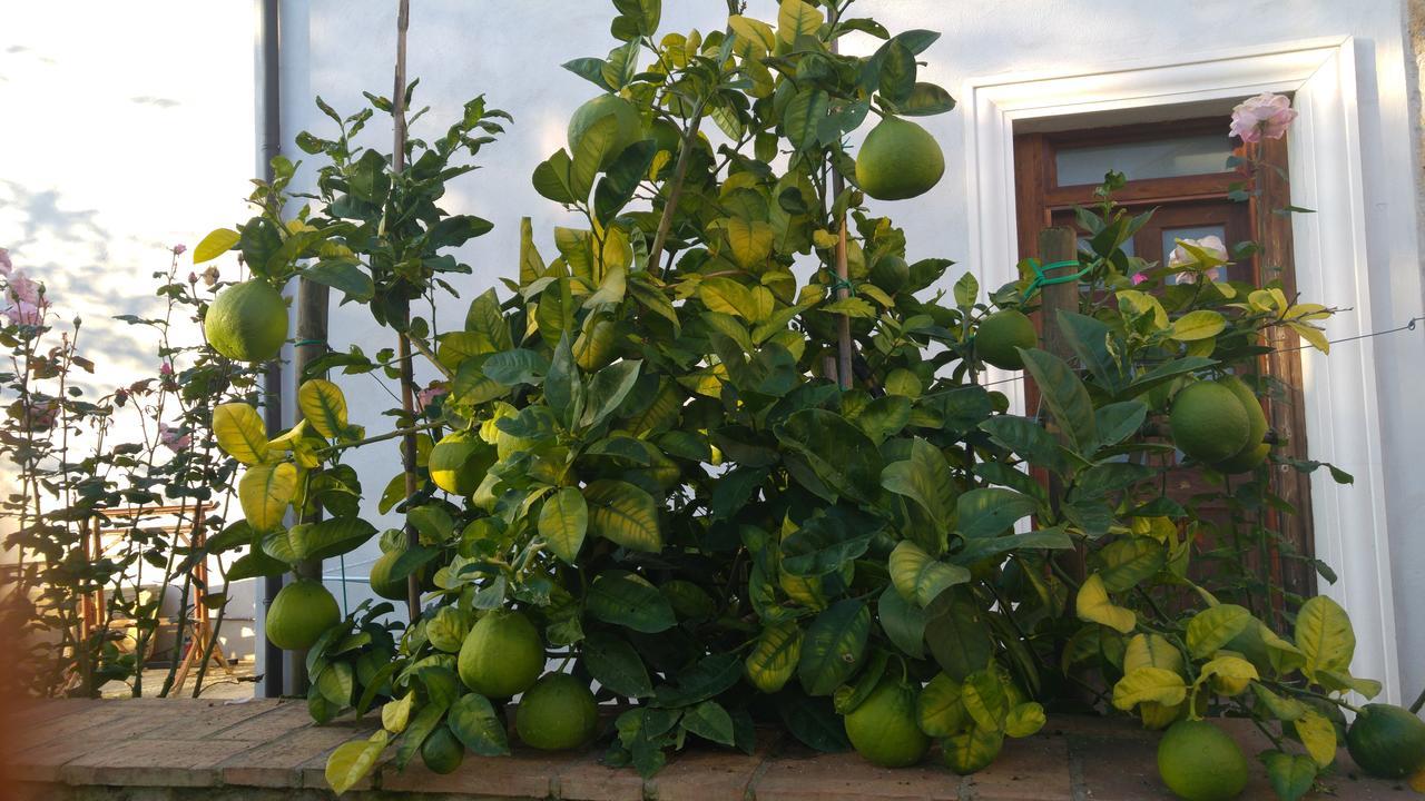 Borgo Patierno Casa de hóspedes Conca della Campania Exterior foto